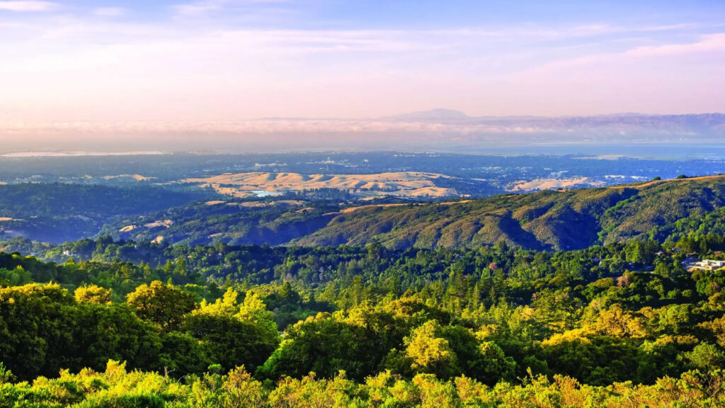 Menlo Park, California Skyline
